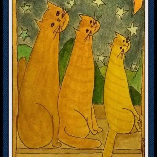 3 inger Catz understars