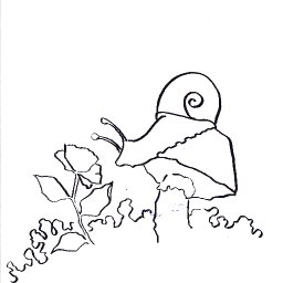 Patrons exclusive Traceable  watercolor snail The playdate .jpg