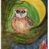 Elf Owl 1