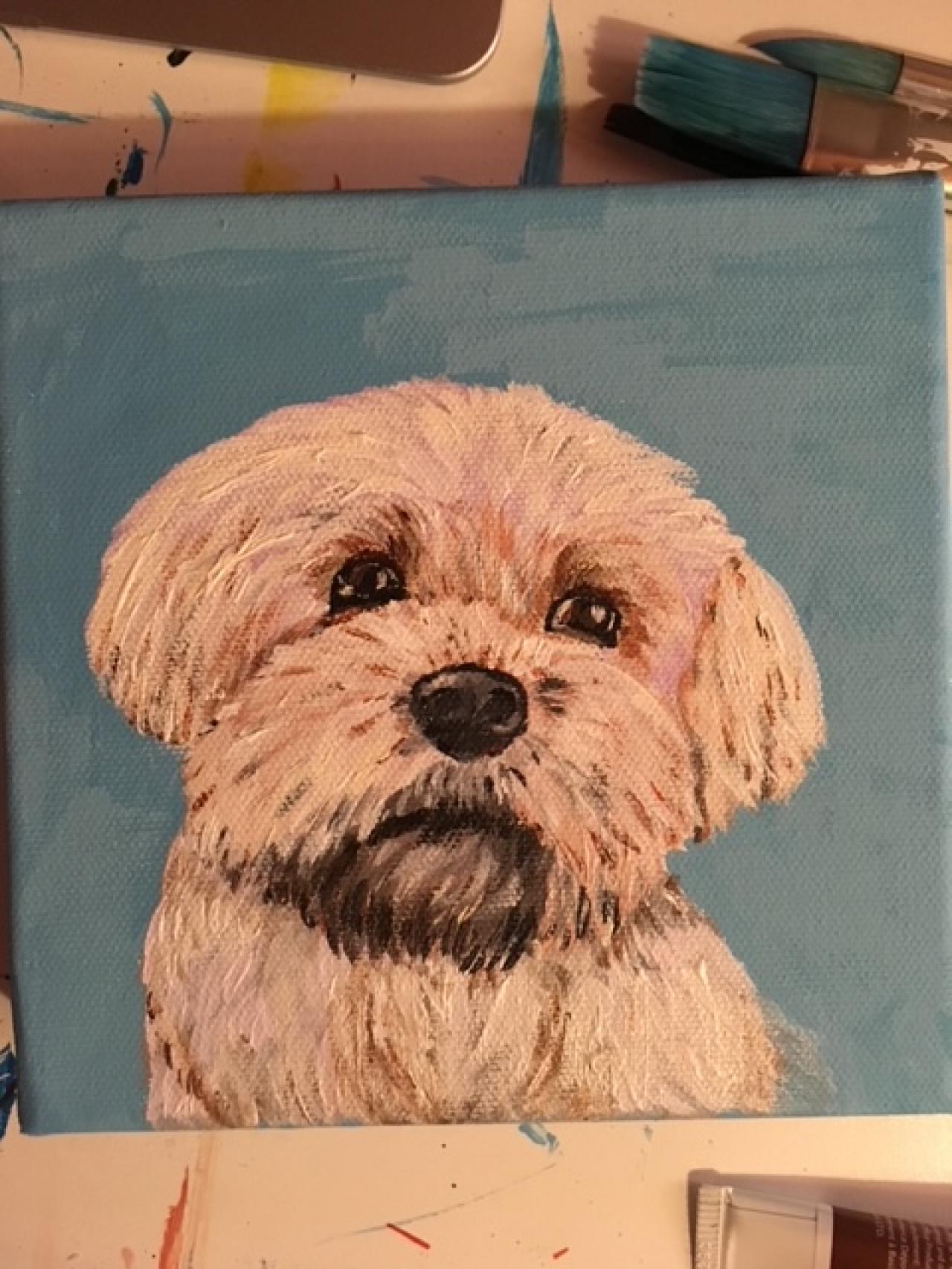 Buddy Gallery Peruffo The Art Sherpa