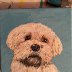 buddy