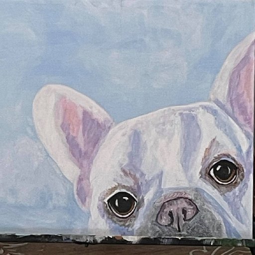 white frenchie partial face