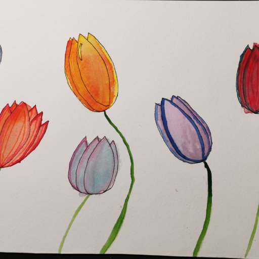 Tulips in Watercolour