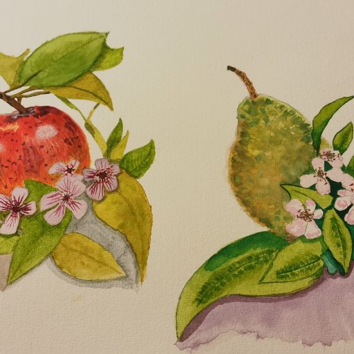 Apple and Pear with Flowers in Watercolour