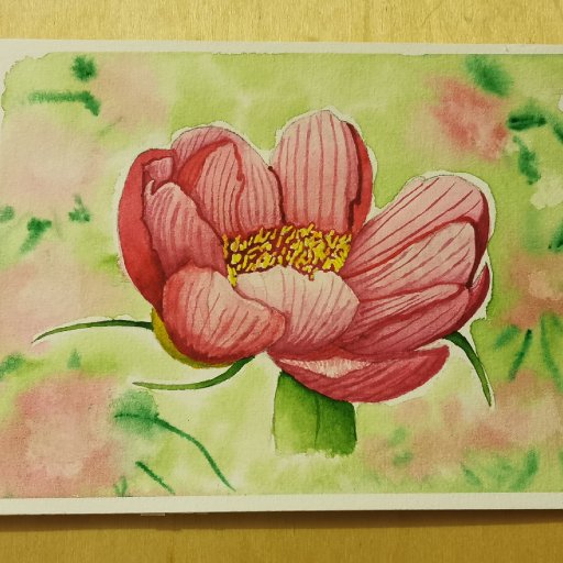 Peony in Watercolour