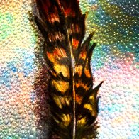 feathers and bubbles