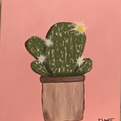 Cactus