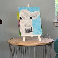 white cow face