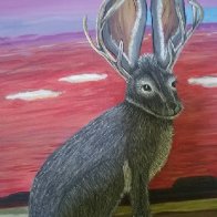 Jackalope