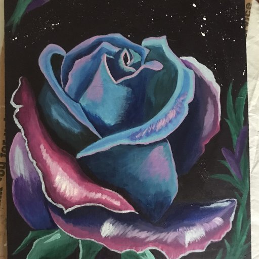 Galaxy rose