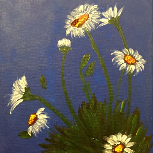 Daisies