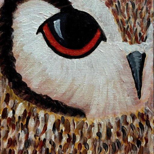 Owl eye