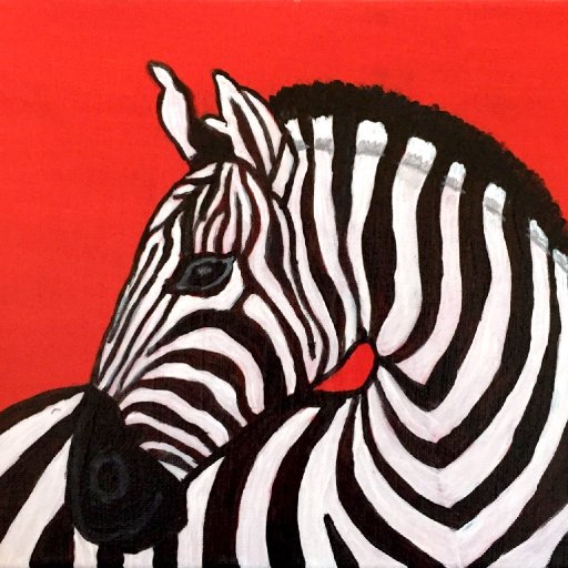 Zebra