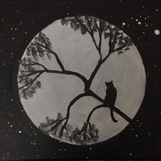 Moonlight Cat_1