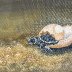 IMG_8260