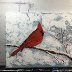 WinterCardinal