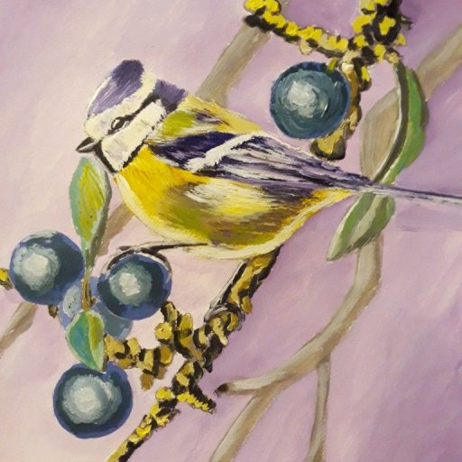 Bird on a Branch