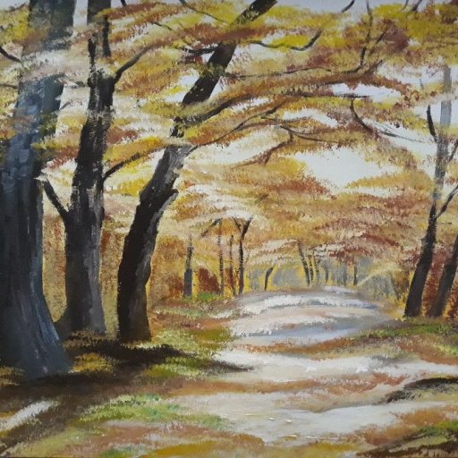 Into The Woods