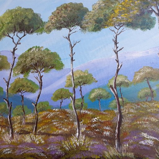 Pine Trees 3