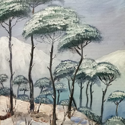 Pine Trees under the snow