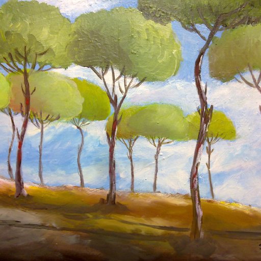 Pine Trees