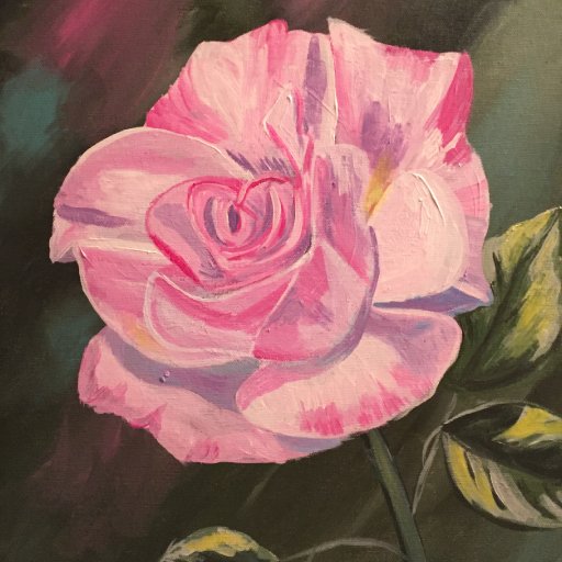 Pink Rose