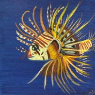 lionfish 4Aug25