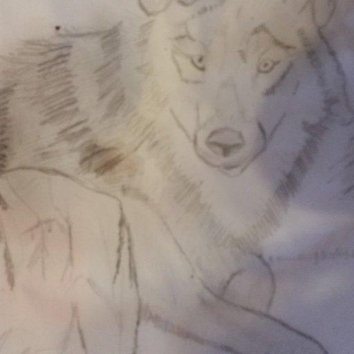 wolfsketch