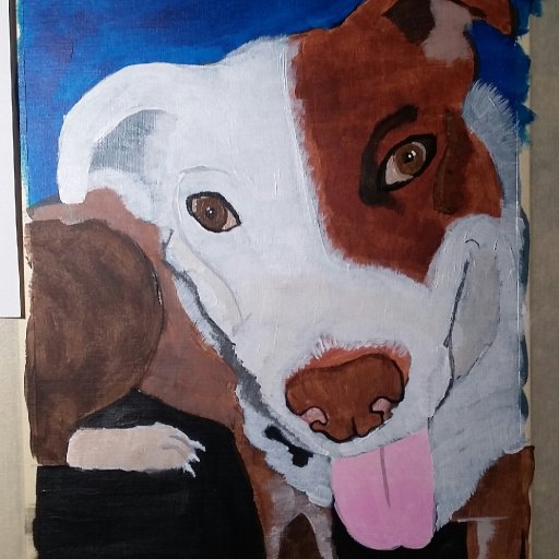 Patches Portrait Finished