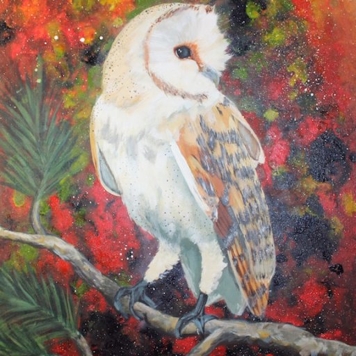 barn owl 2