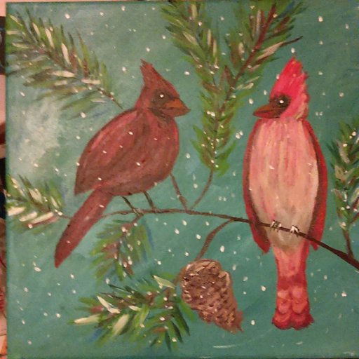 winter birds andgry birds