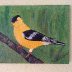 Goldfinch - Acrylic