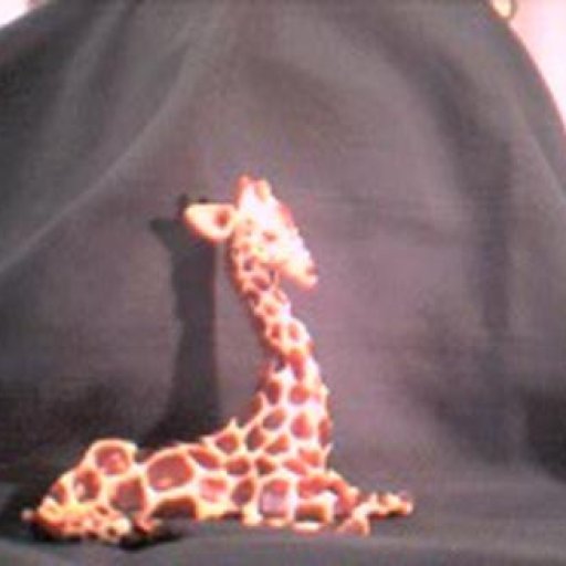 giraffe