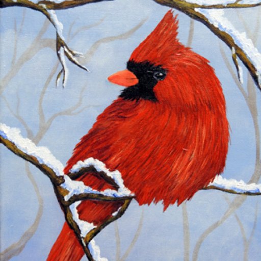 cardinal