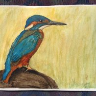 Kingfisher - watercolor
