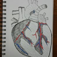 Day 5 Heart