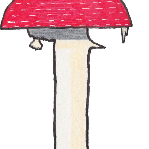 Day 21 Red Mushroom