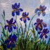 7 Irises 
