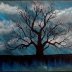stormy sky oak tree
