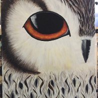 owl