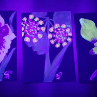 Funky Flora 2 (blacklight)