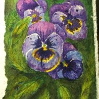 pansies watercolor 1-21-19