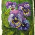 pansies watercolor 1-21-19