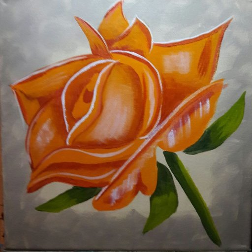 orange rose complete