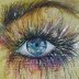 eye (acrylic)