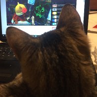 Suzi watching Art Sherpa Lion Lesson 1