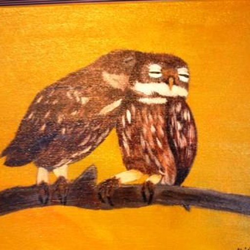 Pair of Owls