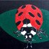 Lady Beetle