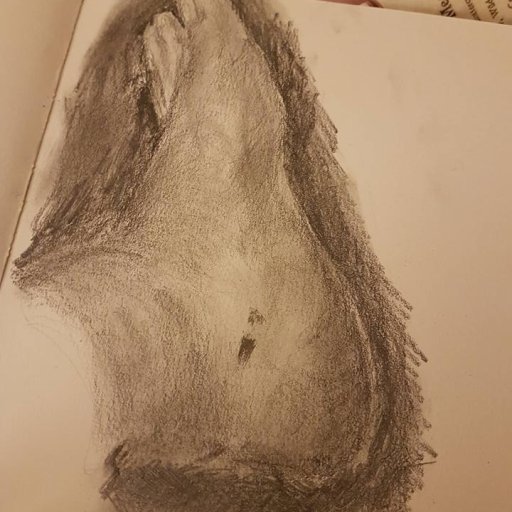 foot study