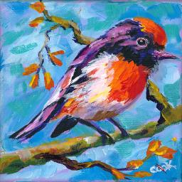 #10 Bird Hop  8x8 Print. Red Capped Robin by Ginger Cook 8x8 Print